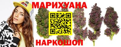 мяу мяу мука Баксан